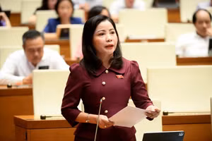 Đại biểu Nguyễn Thị Thu Nguyệt, Đoàn ĐBQH tỉnh Đắk Lắk.