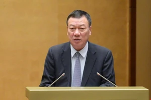 Tổng Thanh tra Chính phủ Đoàn Hồng Phong.