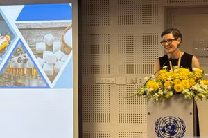 TS Angela Pratt - Trưởng đại diện Tổ chức Y tế Thế giới (WHO) tại Việt Nam. 