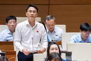 Đại biểu Đỗ Huy Khánh - Đoàn ĐBQH tỉnh Đồng Nai. 