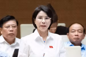 Đại biểu Trần Thị Nhị Hà (Đoàn ĐBQH TP Hà Nội). 