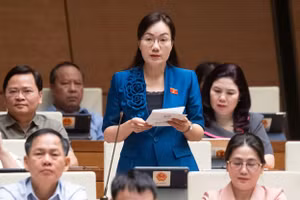 Đại biểu Đỗ Thị Việt Hà, Đoàn ĐBQH tỉnh Bắc Giang. 