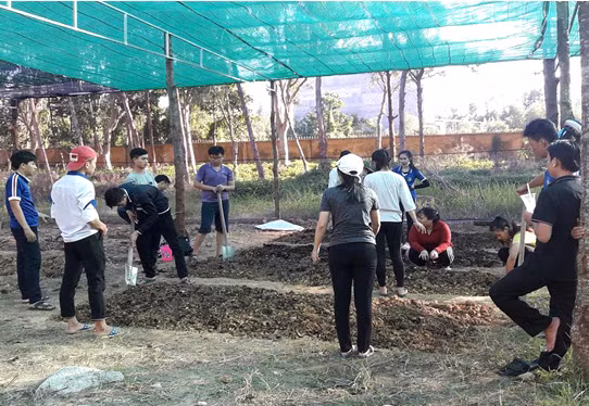 Tham gia lao động sản xuất tại trường