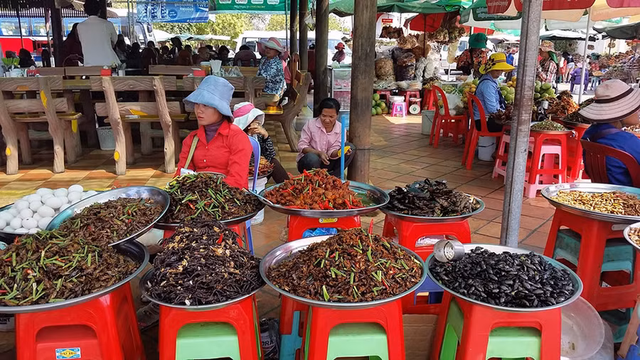 Gian hàng côn trùng rán trong chợ
