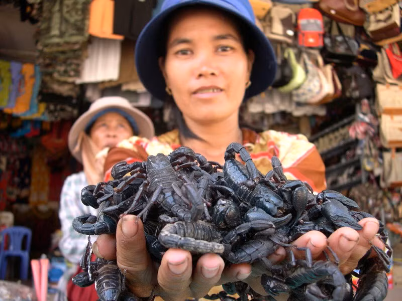 Bò cạp