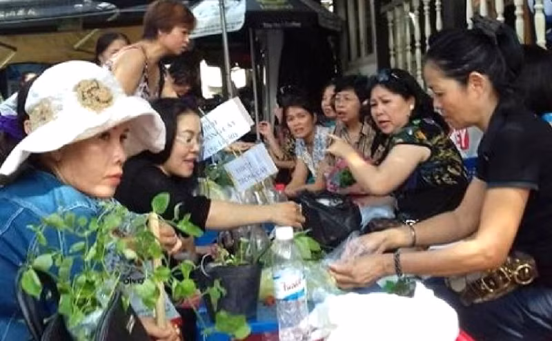 Tình yêu trồng trọt lan tỏa từ các thành viên trong nhóm Tình yêu trồng trọt lan tỏa từ các thành viên trong nhóm