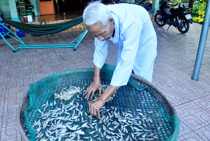 Món khô cá lòng tong trộn gỏi rất hấp dẫn du khách Món khô cá lòng tong trộn gỏi rất hấp dẫn du khách
