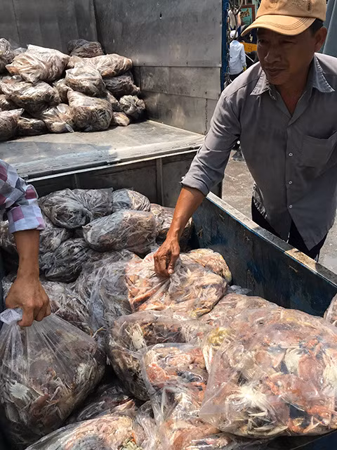 Ghẹ - đặc sản mùa biển động