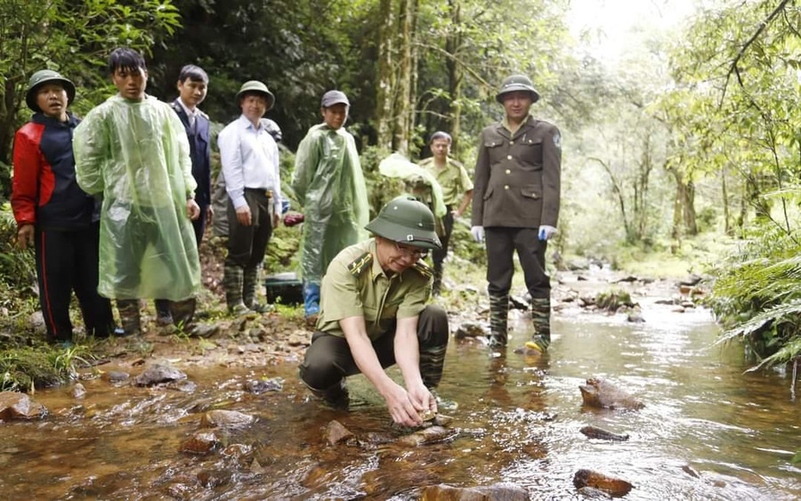 Cán bộ Vườn Quốc gia Hoàng Liên tái thả động vật về với tự nhiên - Ảnh P.Q