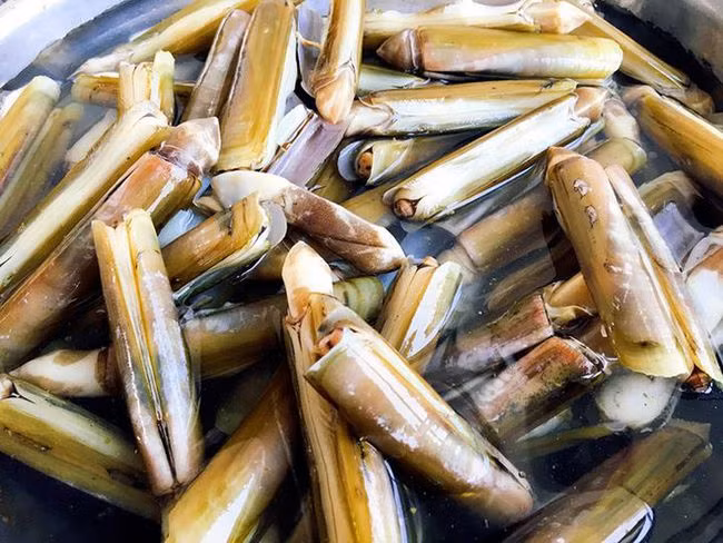 Hàm lượng vitamin B12 trong ốc móng tay có lợi lớn cho sức khỏe não bộ.