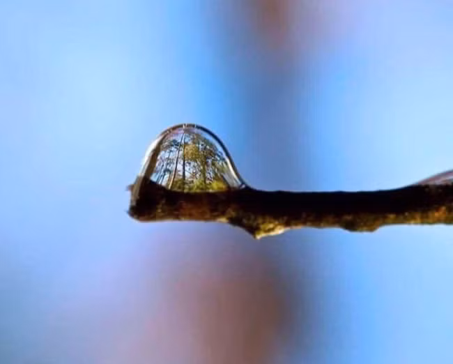 9 "thế giới" tí hon kỳ lạ và đẹp đẽ nhưng không phải ai cũng biết ảnh 1