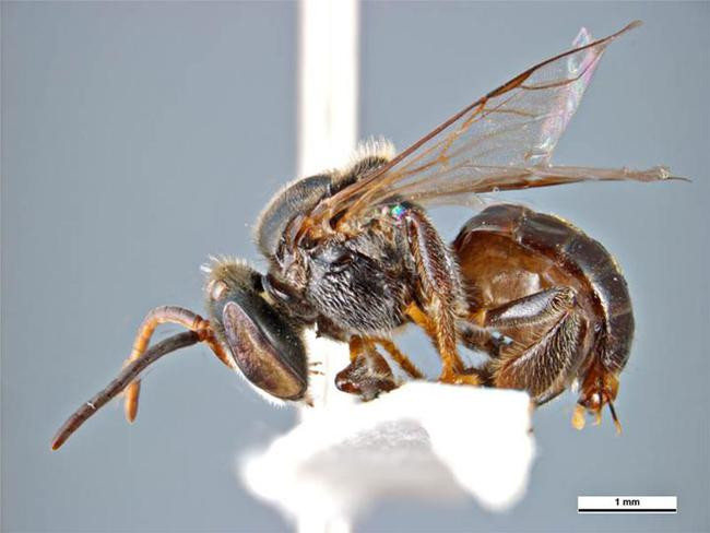 Kiểm tra đồng hồ nước sau nhiều năm trời, gia đình tá hỏa nhìn thấy thứ kỳ quái bên trong, lên cầu cứu dân mạng còn bị đe dọa nguy hiểm - Ảnh 5. Kiểm tra đồng hồ nước sau nhiều năm trời, gia đình tá hỏa nhìn thấy thứ kỳ quái bên trong, lên cầu cứu dân mạng còn bị đe dọa nguy hiểm - Ảnh 5.