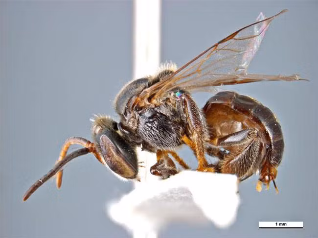 Kiểm tra đồng hồ nước sau nhiều năm trời, gia đình tá hỏa nhìn thấy thứ kỳ quái bên trong, lên cầu cứu dân mạng còn bị đe dọa nguy hiểm - Ảnh 5.