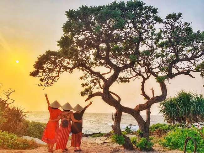 Cây phong ba cô đơn trên đảo Bé - Lý Sơn bị bão số 9 đánh gãy, ai cũng tiếc ngẩn ngơ cho một kỳ quan thiên nhiên tuyệt đẹp - Ảnh 4.