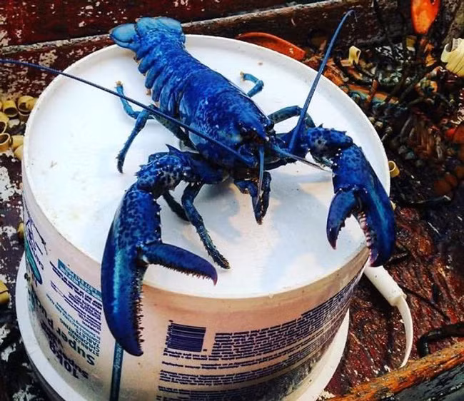 Những sự trùng hợp đến khó tin, chỉ xảy ra đúng 1 lần trong đời và không phải ai cũng có chỉ số "may mắn vô cực" để chứng kiến - Ảnh 3.