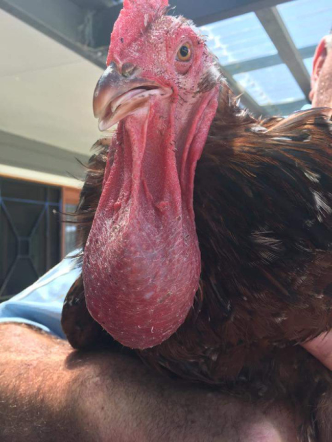 Loạt ảnh về những thứ &quot;dị vô đối&quot; khiến bạn phải nổi da gà, chứng minh thế giới thật lắm điều kỳ lạ không thể tin được - Ảnh 6.