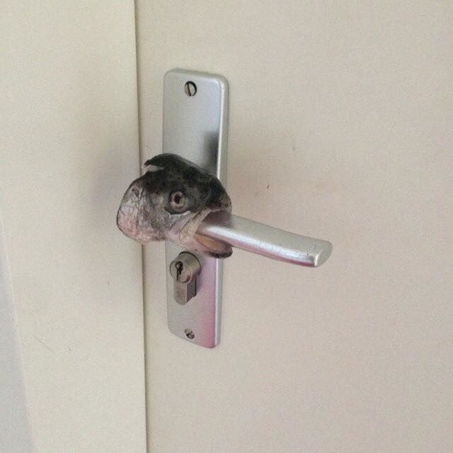 Loạt ảnh về những thứ &quot;dị vô đối&quot; khiến bạn phải nổi da gà, chứng minh thế giới thật lắm điều kỳ lạ không thể tin được - Ảnh 19.