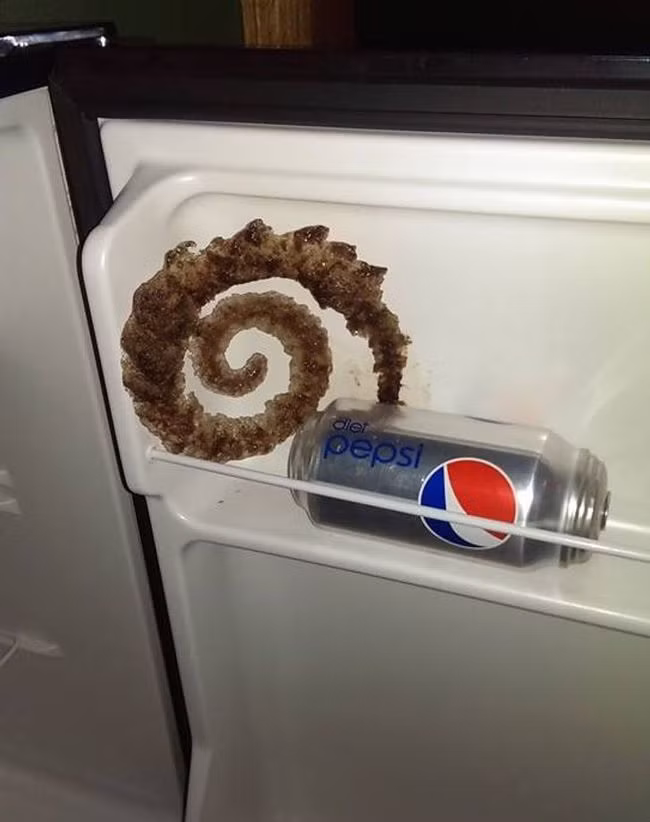 Những sự trùng hợp đến khó tin, chỉ xảy ra đúng 1 lần trong đời và không phải ai cũng có chỉ số "may mắn vô cực" để chứng kiến - Ảnh 5.