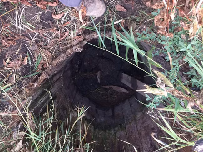 Đang đi dạo thì chó sủa không ngừng trước miệng giếng, chủ nhân đến kiểm tra mới phát hiện ra "điều kỳ diệu" mà gia đình đánh mất 1 tháng trước - Ảnh 2.