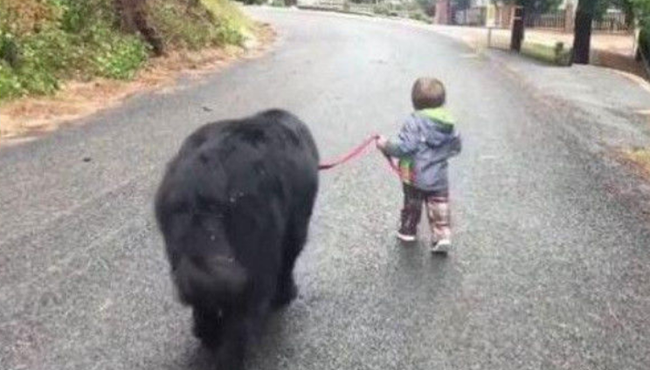 Giận mẹ, cậu bé mẫu giáo lén rủ “anh trai” bỏ nhà ra đi, ai thấy cũng cười ngất: “Không biết ông anh lắm lông nuôi em kiểu gì?” - Ảnh 2. Giận mẹ, cậu bé mẫu giáo lén rủ “anh trai” bỏ nhà ra đi, ai thấy cũng cười ngất: “Không biết ông anh lắm lông nuôi em kiểu gì?” - Ảnh 2.