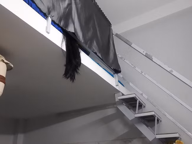 Nửa đêm tỉnh giấc mà nhìn thấy cảnh này, người yếu tim có lẽ thức đến sáng mất!