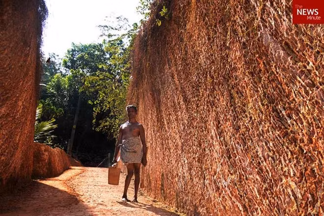 Bị liệt nửa người nhưng người đàn ông này đã làm được việc khiến cả thế giới phải bái phục - Ảnh 2.