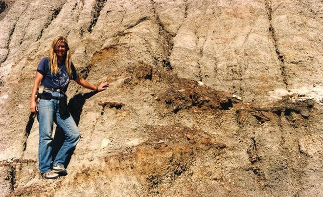 - Ảnh 4.  - Ảnh 4.