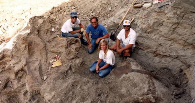 - Ảnh 7.  - Ảnh 7.