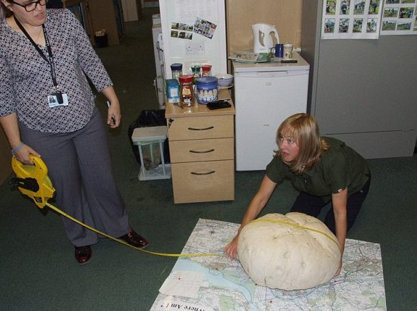 Thấy tảng đá màu trắng trên đường, cô gái lại gần mới biết mình nhặt được của lạ - Ảnh 3. Thấy tảng đá màu trắng trên đường, cô gái lại gần mới biết mình nhặt được của lạ - Ảnh 3.