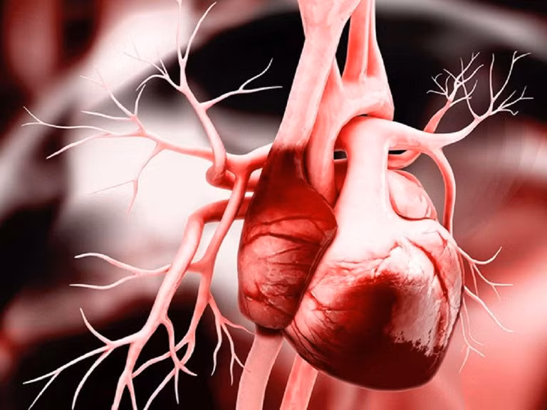 Nếu cơ thể xuất hiện dấu hiệu "2 sưng - 2 tím" này, phụ nữ cần đi khám tim gấp ảnh 1