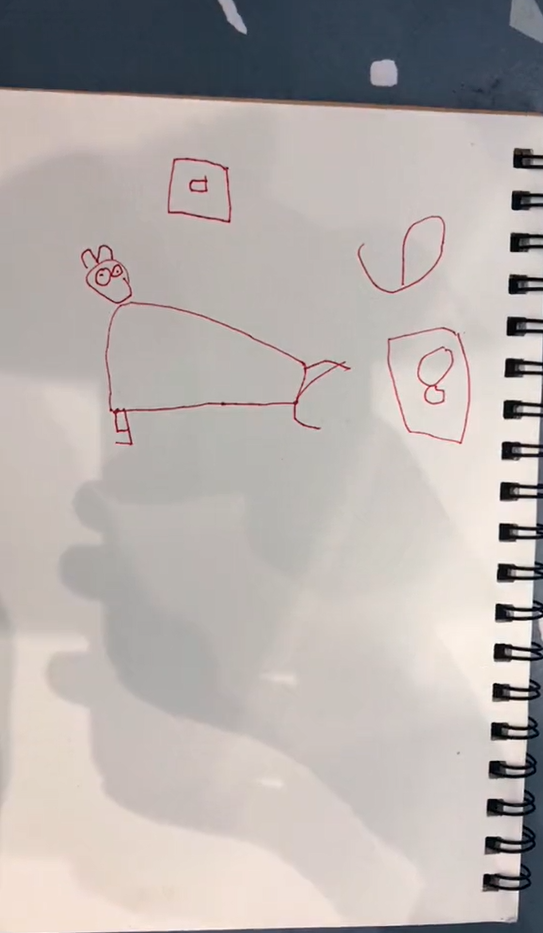 Muốn vẽ mèo như thật, cậu bé nhốt &quot;mẫu&quot; trong phòng rồi tỉ mẩn quan sát, đếm từng sợi lông, thành quả cuối cùng giơ ra ai cũng cười ná thở - Ảnh 6.