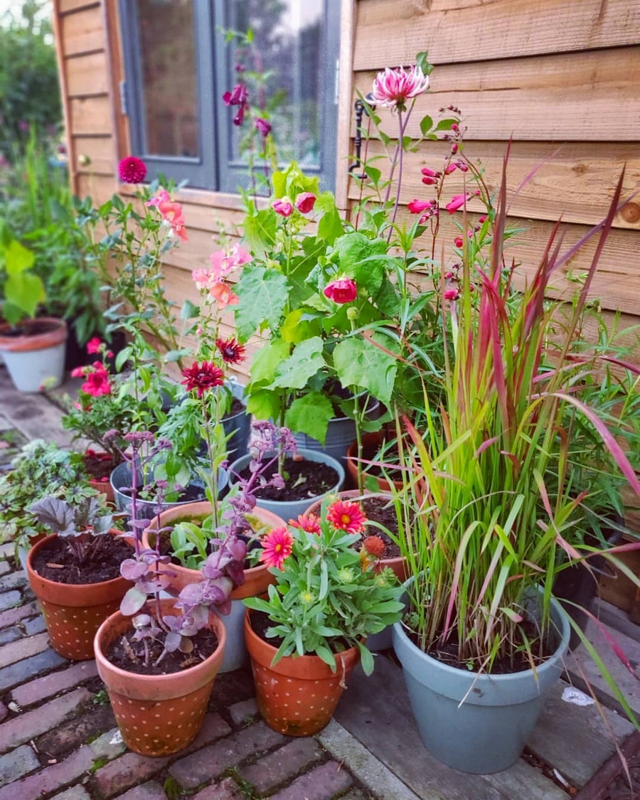 Những góc nhỏ đẹp như trong cổ tích.