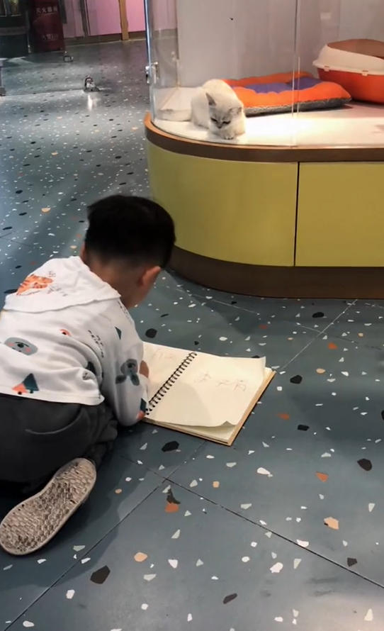 Cậu thay đổi rất nhiều tư thế để vẽ cho thoải mái cũng như quan sát ở các góc khác nhau. Cậu bé đang thể hiện sự nghiêm túc thật sự trong sáng tạo nghệ thuật.