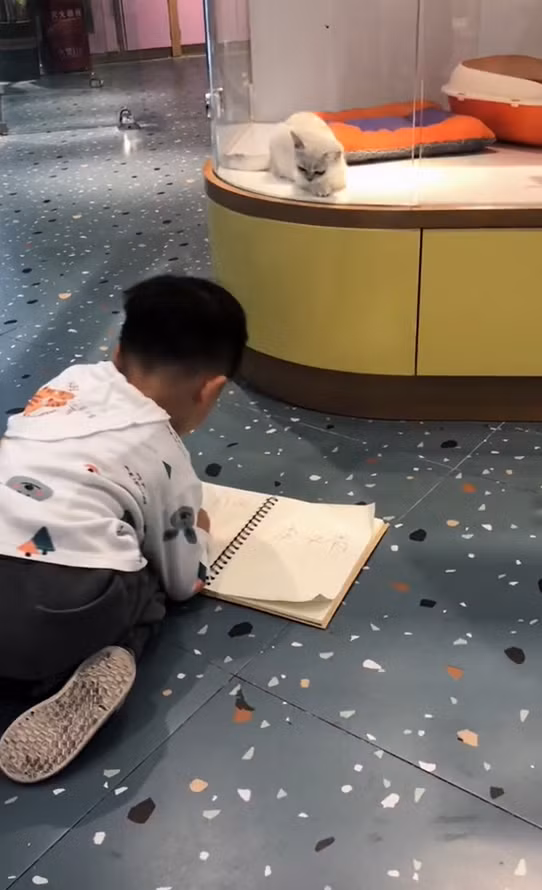 Cậu thay đổi rất nhiều tư thế để vẽ cho thoải mái cũng như quan sát ở các góc khác nhau. Cậu bé đang thể hiện sự nghiêm túc thật sự trong sáng tạo nghệ thuật.