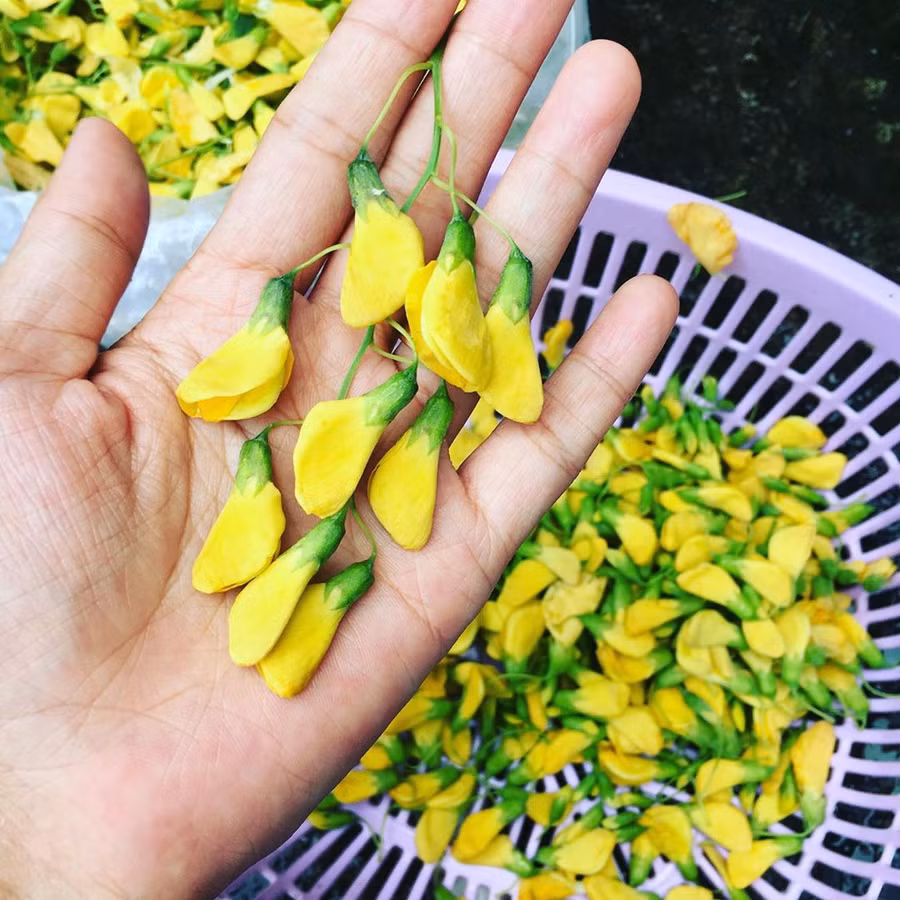 Rửa rau tưởng chừng ai cũng biết, thế mà có những điều hầu hết chúng ta còn "lơ mơ" lắm! - Ảnh 7.