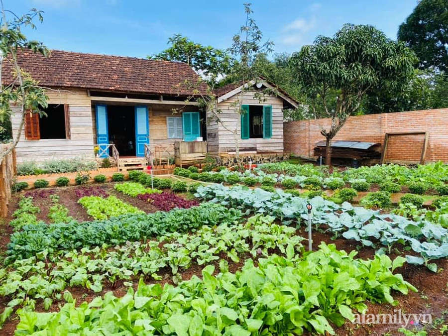 Nhà vườn xanh mát rau sạch của cô nàng 9X khiến ai cũng muốn bỏ phố về quê ở Buôn Mê Thuột - Ảnh 12.