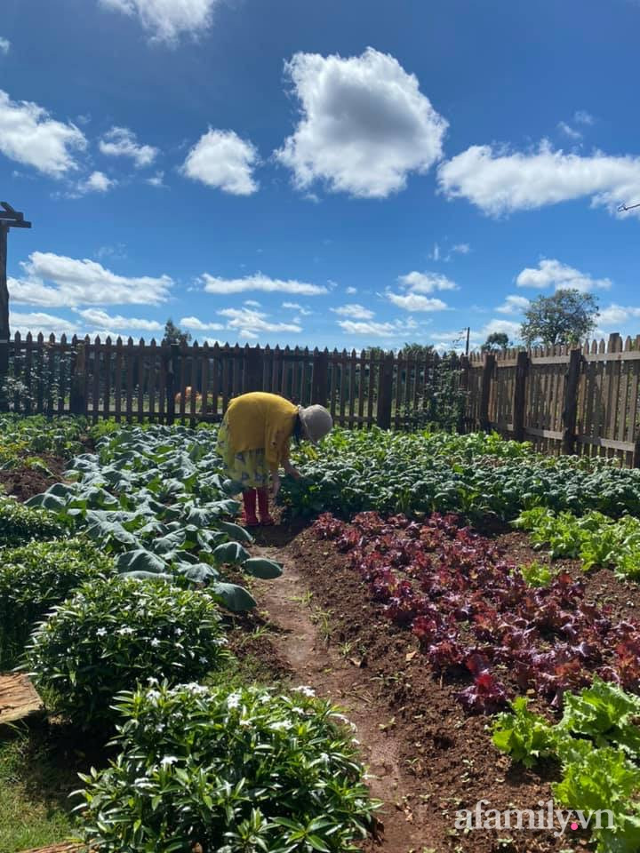 Ngôi nhà vườn nhỏ xinh như trong cổ tích của cô nàng 9X ảnh 17