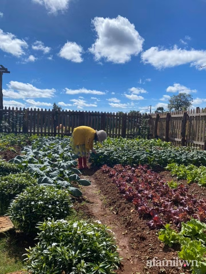 Ngôi nhà vườn nhỏ xinh như trong cổ tích của cô nàng 9X ảnh 17 Ngôi nhà vườn nhỏ xinh như trong cổ tích của cô nàng 9X ảnh 17