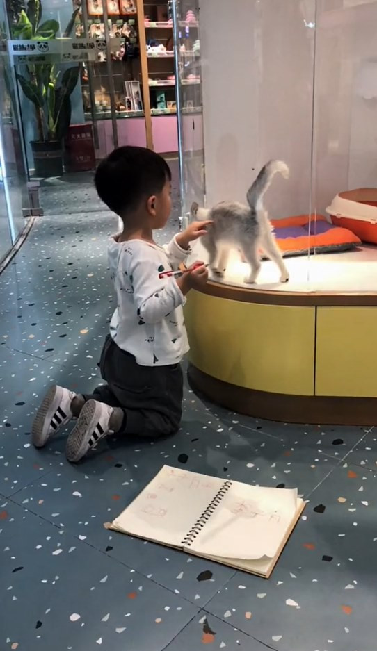 Muốn vẽ mèo như thật, cậu bé nhốt &quot;mẫu&quot; trong phòng rồi tỉ mẩn quan sát, đếm từng sợi lông, thành quả cuối cùng giơ ra ai cũng cười ná thở - Ảnh 4.