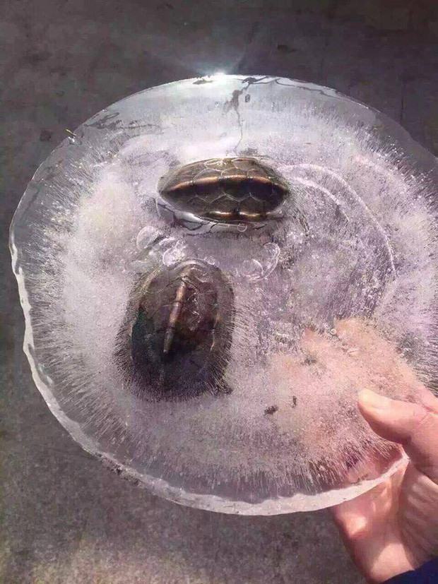 Trời rét đến mấy bạn cũng đã gặp phải 15 câu chuyện éo le như thế này chưa? - Ảnh 9. Trời rét đến mấy bạn cũng đã gặp phải 15 câu chuyện éo le như thế này chưa? - Ảnh 9.