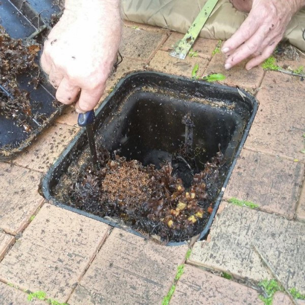 Kiểm tra đồng hồ nước sau nhiều năm trời, gia đình tá hỏa nhìn thấy thứ kỳ quái bên trong, lên cầu cứu dân mạng còn bị đe dọa nguy hiểm - Ảnh 2. Kiểm tra đồng hồ nước sau nhiều năm trời, gia đình tá hỏa nhìn thấy thứ kỳ quái bên trong, lên cầu cứu dân mạng còn bị đe dọa nguy hiểm - Ảnh 2.