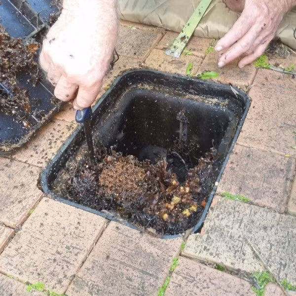 Kiểm tra đồng hồ nước sau nhiều năm trời, gia đình tá hỏa nhìn thấy thứ kỳ quái bên trong, lên cầu cứu dân mạng còn bị đe dọa nguy hiểm - Ảnh 2.