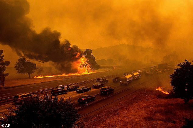 Mất sạch tài sản sau vụ hỏa hoạn, cặp vợ chồng trở về phát hiện điều kỳ diệu dưới đống tro tàn ảnh 3 Mất sạch tài sản sau vụ hỏa hoạn, cặp vợ chồng trở về phát hiện điều kỳ diệu dưới đống tro tàn ảnh 3