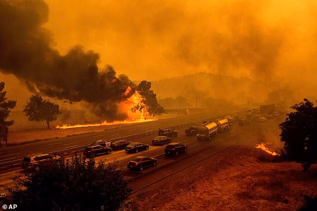 Mất sạch tài sản sau vụ hỏa hoạn, cặp vợ chồng trở về phát hiện điều kỳ diệu dưới đống tro tàn ảnh 3