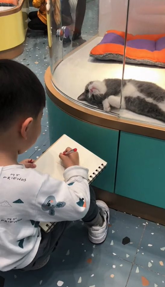 Muốn vẽ mèo như thật, cậu bé nhốt &quot;mẫu&quot; trong phòng rồi tỉ mẩn quan sát, đếm từng sợi lông, thành quả cuối cùng giơ ra ai cũng cười ná thở - Ảnh 5.