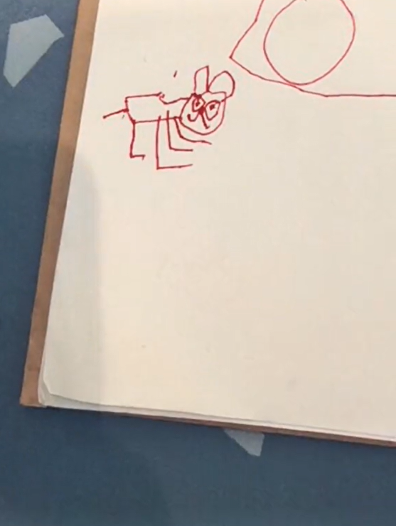 Muốn vẽ mèo như thật, cậu bé nhốt &quot;mẫu&quot; trong phòng rồi tỉ mẩn quan sát, đếm từng sợi lông, thành quả cuối cùng giơ ra ai cũng cười ná thở - Ảnh 7.