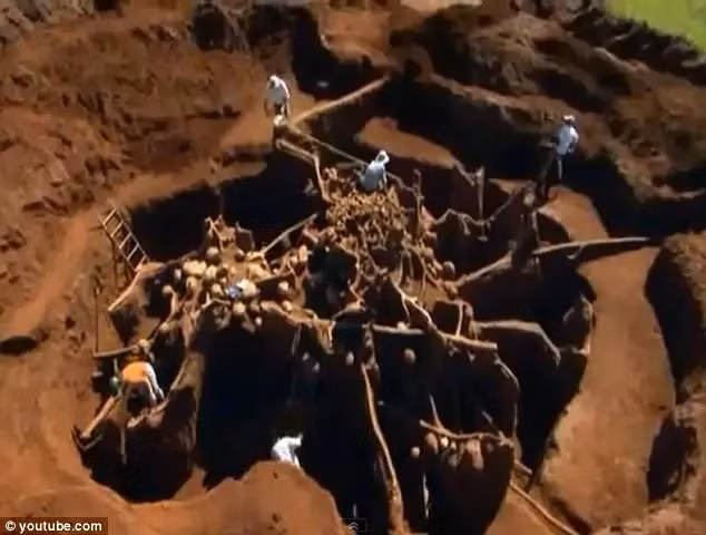 Đổ 10 tấn xi măng xuống tổ kiến, các nhà khoa học khám phá ra điều sửng sốt ảnh 1