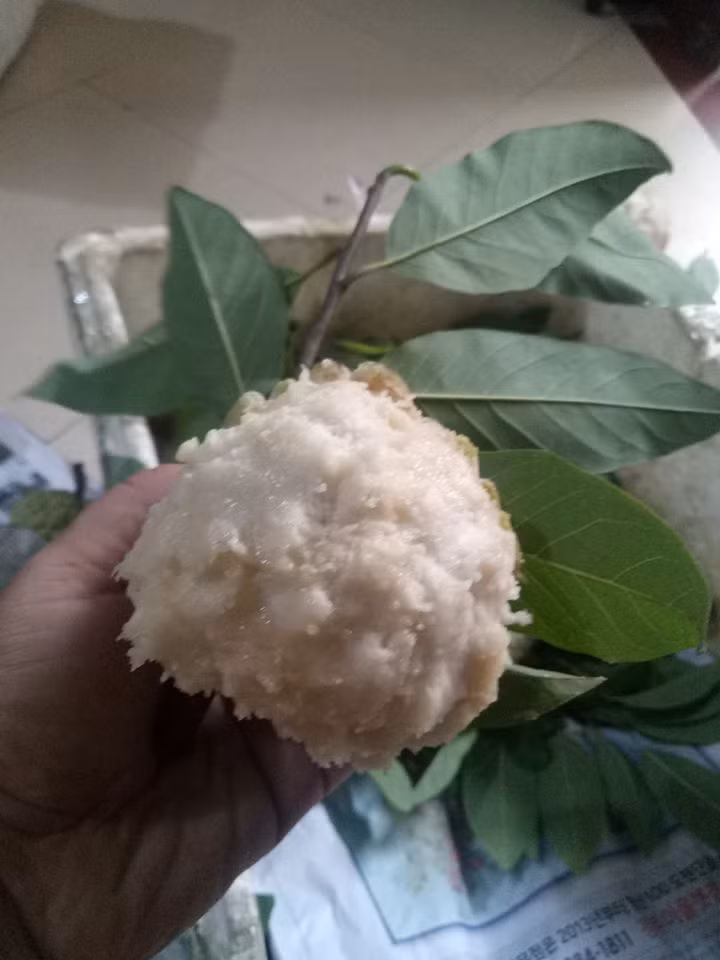 Kinh nghiệm chọn na dai, na bở nhiều cùi, ít hạt của bà nội trợ tuổi 40 Hà Nội - Ảnh 5.