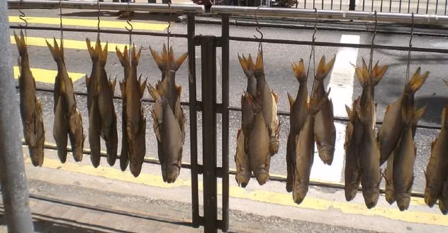 Cá muối kiểu Trung Quốc có thể làm tăng đáng kể nguy cơ ung thư vòm họng.