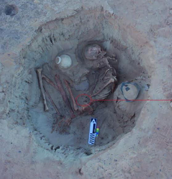 Nhà khảo cổ choáng khi phát hiện vật lạ cạnh hài cốt phụ nữ 3.700 năm tuổi ảnh 3